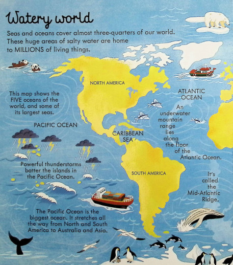 🌊 Dive Into Discovery – Interactive Lift-the-Flap Ocean Adventure Book for Kids 🐠✨ | Explore Coral Reefs, Whales & Hidden Sea Secrets!