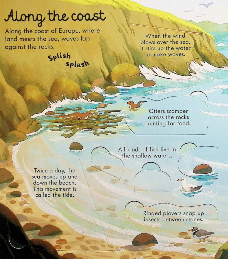 🌊 Dive Into Discovery – Interactive Lift-the-Flap Ocean Adventure Book for Kids 🐠✨ | Explore Coral Reefs, Whales & Hidden Sea Secrets!