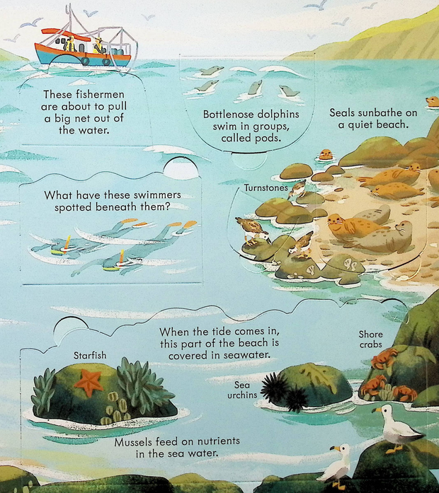 🌊 Dive Into Discovery – Interactive Lift-the-Flap Ocean Adventure Book for Kids 🐠✨ | Explore Coral Reefs, Whales & Hidden Sea Secrets!