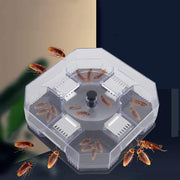Reusable Cockroach Trap – Harmless Cockroach Catch Box for Home & Kitchen (2pcs Set)