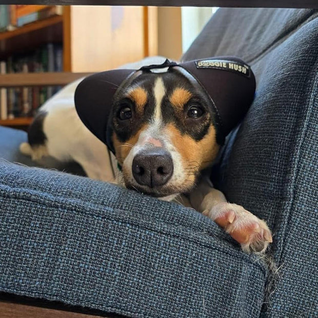 🐶 Calm Your Pup in Style – Noise-Reducing Dog Ear Muffs for Fireworks, Thunder & More!🎧