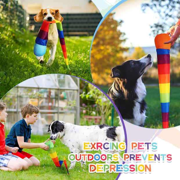 Ultimate 12-Piece Rainbow Comet Balls Set — Throw, Catch & Spark Joy with Every Spin!