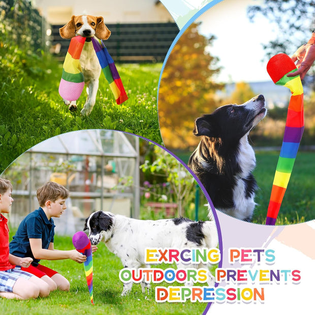 Ultimate 12-Piece Rainbow Comet Balls Set — Throw, Catch & Spark Joy with Every Spin!